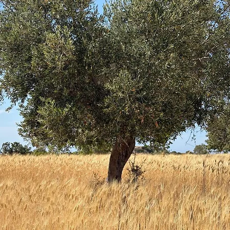 Cosy With Rooftop Terrace Prodromi