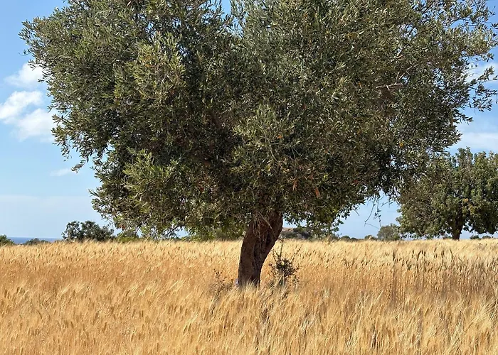 Cosy With Rooftop Terrace Prodromi